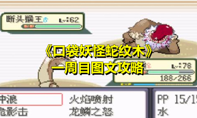 《口袋妖怪蛇纹木》一周目图文攻略