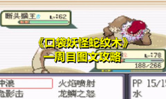 《口袋妖怪蛇纹木》一周目图文攻略