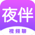 夜伴稳定版