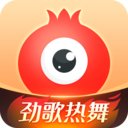 石榴直播无限观看版