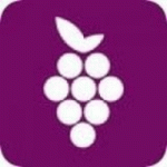 葡萄视频午夜版