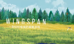 仍玩单机目录：《展翅翱翔》在？看看你手中是什么鸟牌