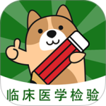 检验师练题狗