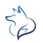 夜狼直播可播放版