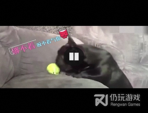 类似午夜高清播放器的手机软件合集