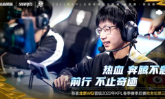 《王者荣耀》TTG创下近年最差成绩，网友：终于能看纪录片了！