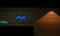 《勇敢的哈克》安托尼山顶前往方法