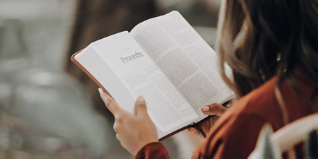 原创小说阅读手机软件合集