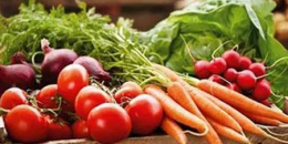 食材供应平台手机软件排行榜