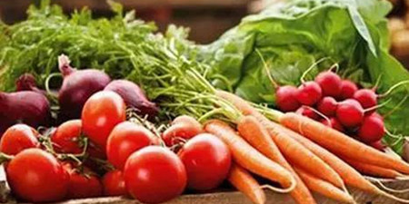 食材供应平台手机软件排行榜