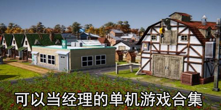 可以当经理的单机游戏合集