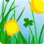 樱花草视频加长版