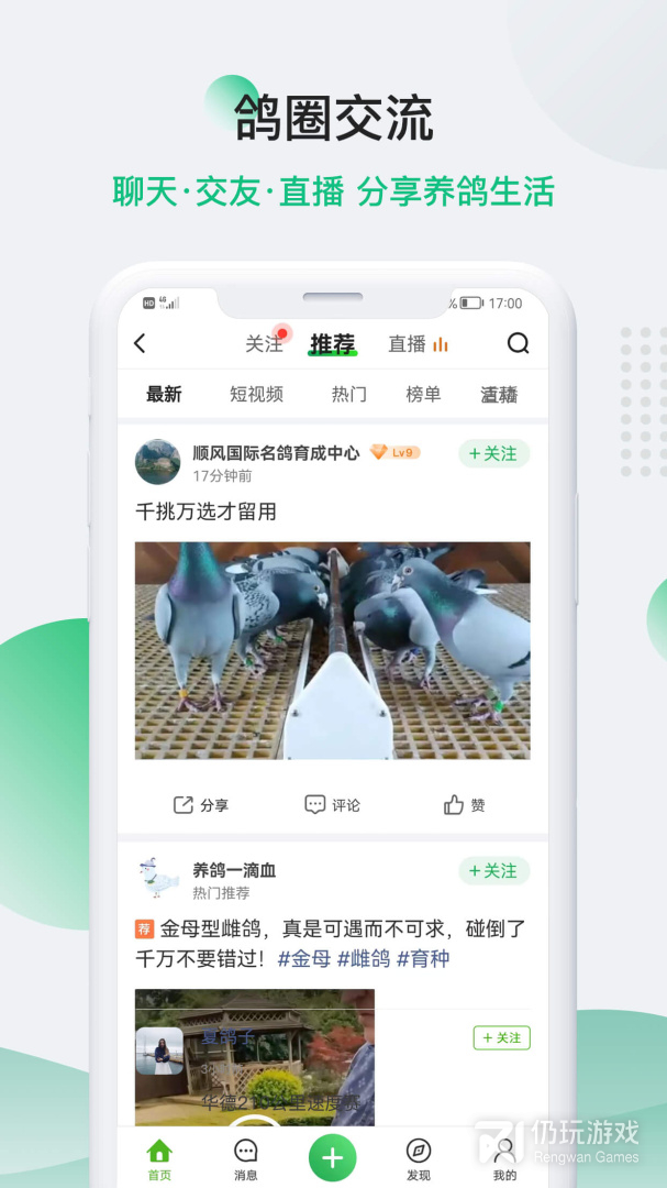 中国信鸽信息网