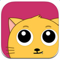 猫播直播最新版