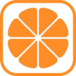 黄橙直播高清版