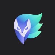 极客视频稳定版