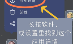 箱庭小偶停止广告自动下载方式