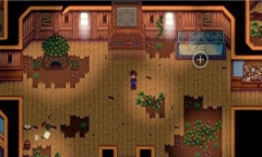 《星露谷物语》韩服无法登陆服务器怎么办