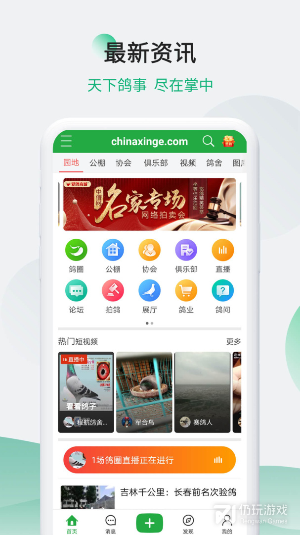 中国信鸽信息网