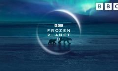 《我的世界》联动BBC纪录片《冰冻星球2》 推出全新地图