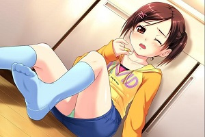 侄少女历史版本手游合集