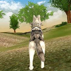 饿狼来了(探索奇妙)