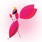 蜂窝直播无限观看版