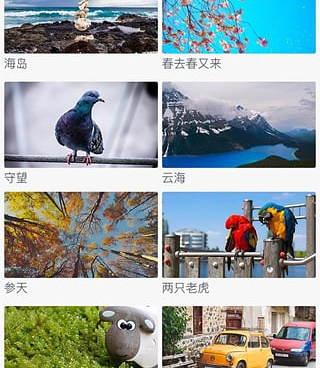 搜狐视频所有版本手机软件合集