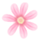 菊花视频深夜版