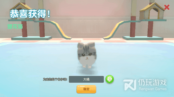 养了个猫2023最新版