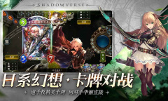 影之诗对战详情介绍