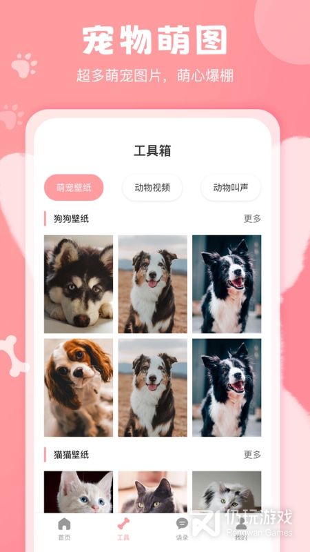 好用的翻译器手机软件合集