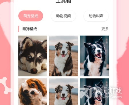 好用的翻译器手机软件合集