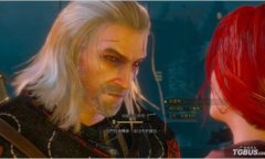 巫师3次时代特莉丝攻略指南