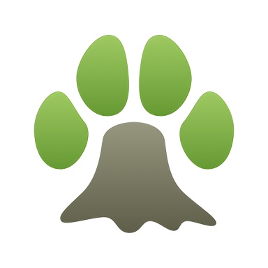 百年漫画未删减版