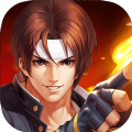 拳魂觉醒内购版