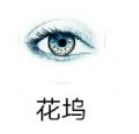 花坞直播福利版