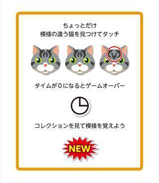 有收藏系统的二次元卡牌手游合集