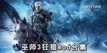 巫师3狂猎mod合集