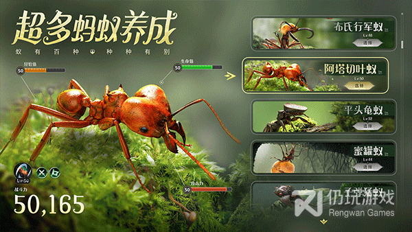 生存战斗类手游合集