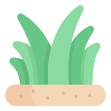 青青草免费视频