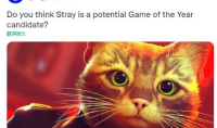 TGA发文求助：《Stray》能进年度游戏候选吗？
