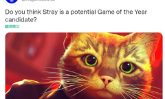 TGA发文求助：《Stray》能进年度游戏候选吗？