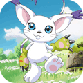 合金幻想开放版