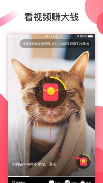 桃花岛视频隐藏入口