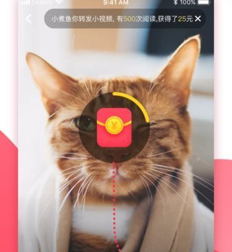 午夜免费看片的十大播放器手机软件合集