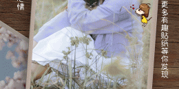 值得信赖的自拍相机手机软件排行榜