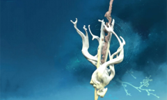 《仙剑奇侠传7》武器春滋剑图鉴一览