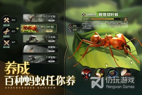 生存战争版本手游合集