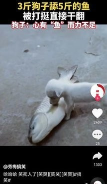 跟短剧大亨差不多的手机软件合集